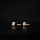 Diamond Studs -  DT173634