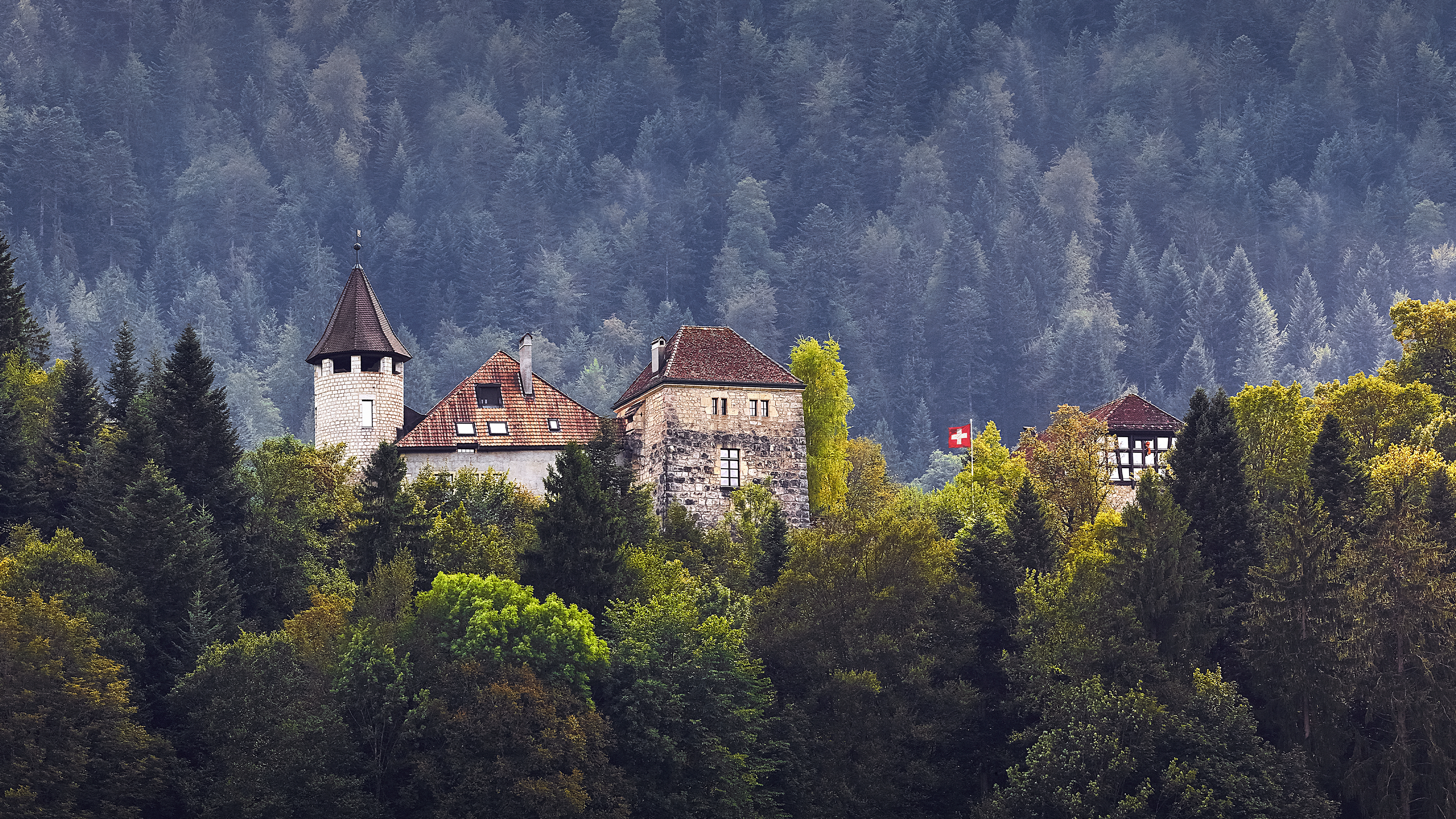 Cuervo y Sobrinos Banner