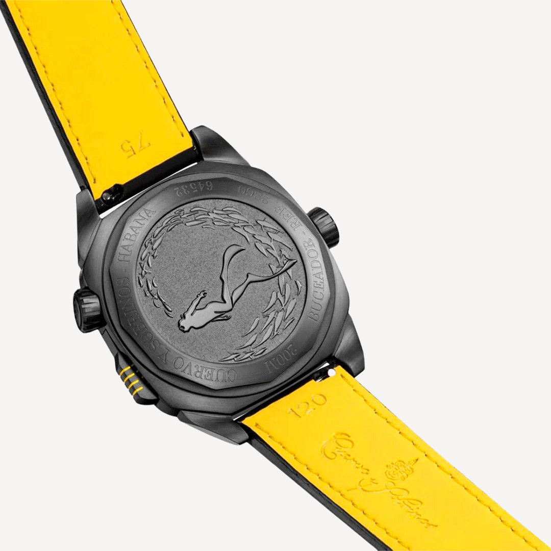 BUCEADOR-2860.3NY image