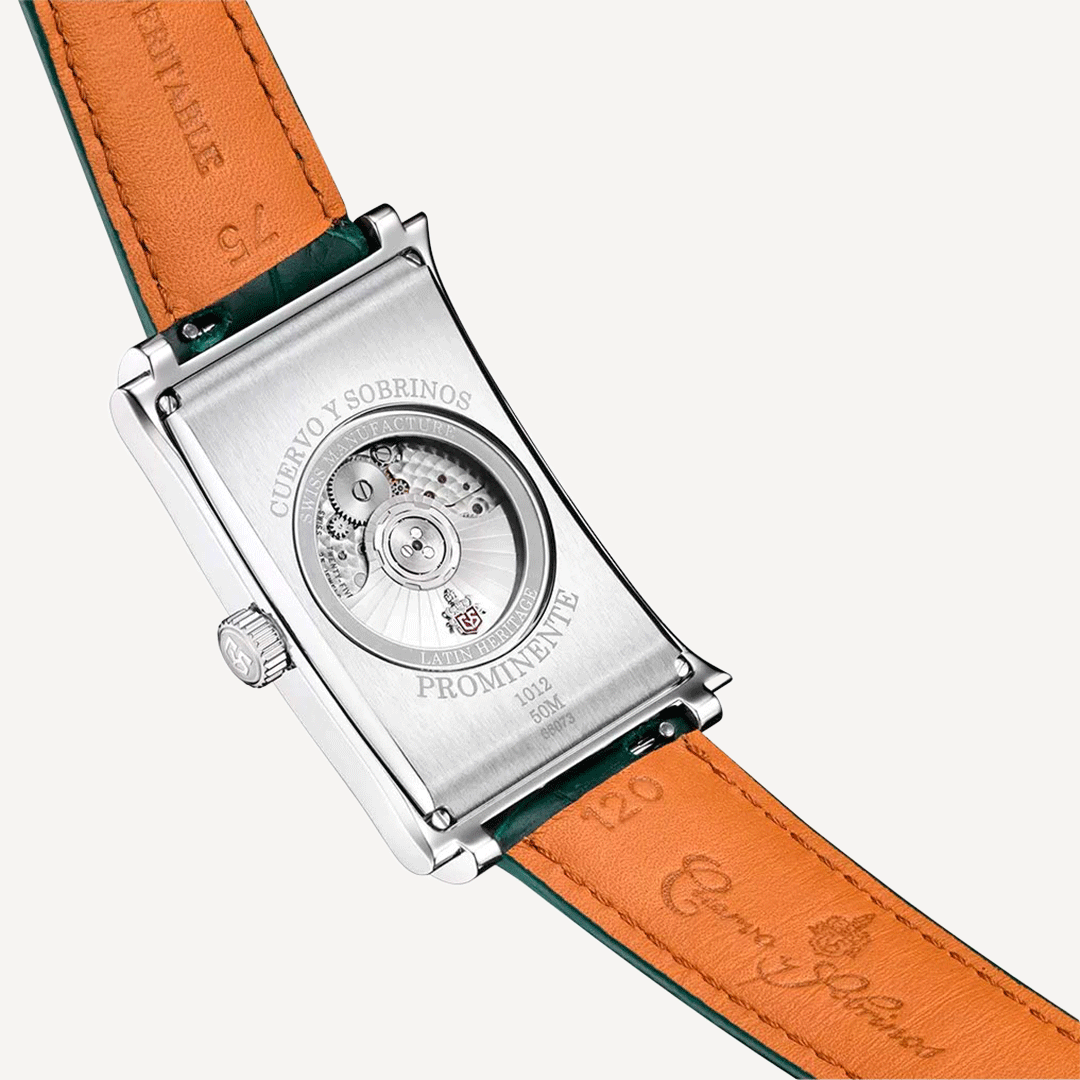 PROMINENTE-1012.1GM image